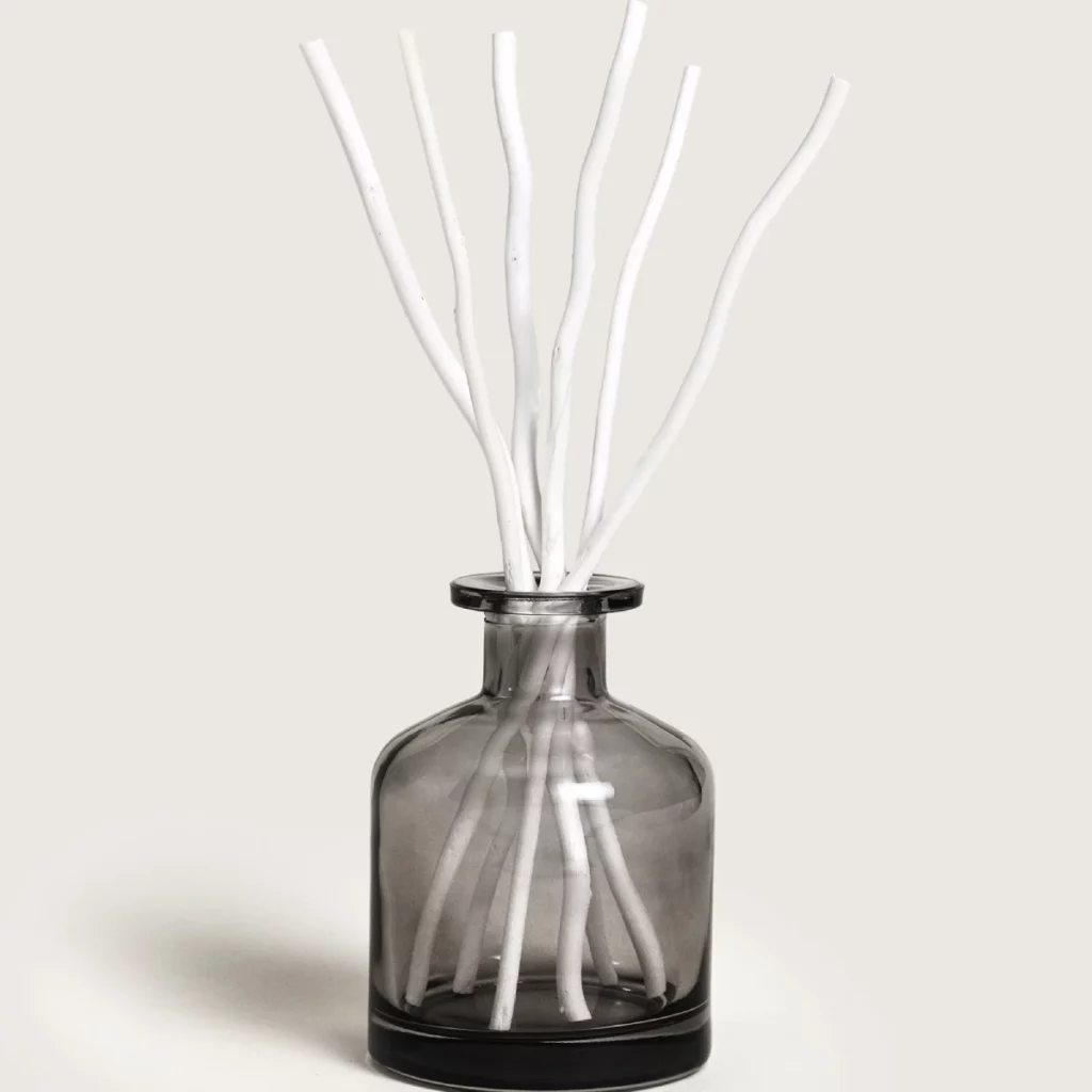 Maison Berger Paris Reed Diffuser - AROMA Energy, product image 2