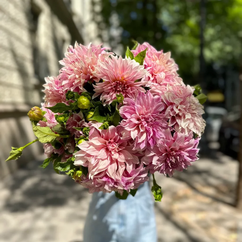 Dahlia bouquet, product image 4